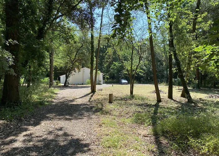 Hébergement de vacances 850m De La Maison Neuve Pour 6 En Foret Longeville-sur-Mer